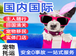 王村航空空运国际宠物托运 【国